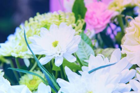 Close up detail of colorful wedding flower bouquetの写真素材