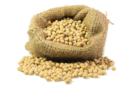 Soy beans in sack isolated on white backgroundの写真素材