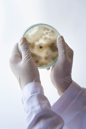 equipment and science experiments ; science backgroundの写真素材