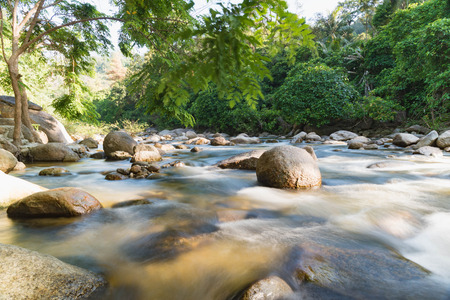 flowing mountain stream with transparent water and stones on bottom