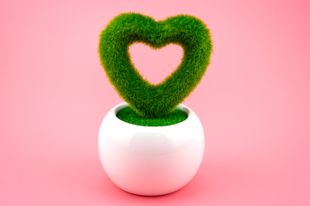 Green heart Flowerpot,Green  heart shaped tree in white pot with pink background. Concept about love wedding and relationship, happy Valentines Day.の写真素材