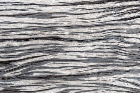 Natural wooden texture. empty wood background