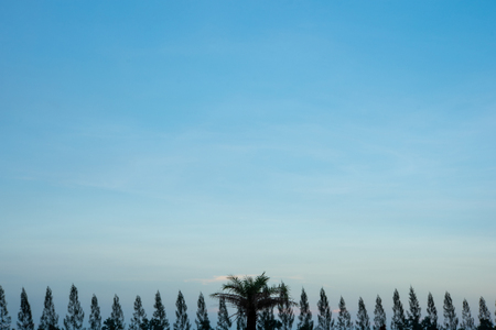 blue sky with cloud. sky blue background.の写真素材