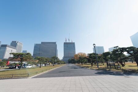 Buildings in Tokyo with autumn leaves. Golden leaves foliage gingko Maidenhair trees in front of...