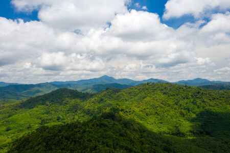 forest in sunny day,  Rural countryside landscape in thailand, Drone shot flying on spring pine tree forest. Sunny day, nature background.の写真素材
