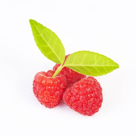 Raspberry fruitの写真素材
