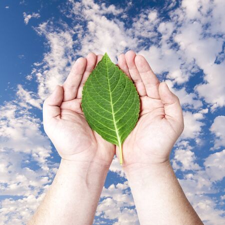 Hands holding on the green leaf with sky background  Concept for planting the tree to reduce global warmingの写真素材