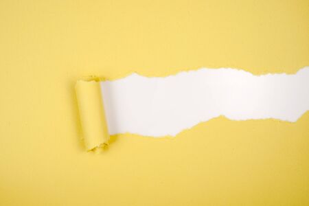 Yellow Tear Paper on white backgroundの写真素材