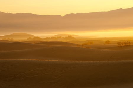 Death Valley Sand dunes at sunriseの写真素材