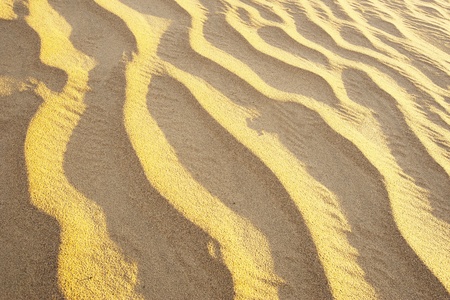Desert sand dunes  Death Valley, USAの写真素材