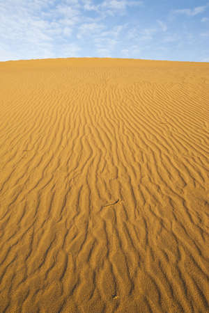 Deserts Sand dune の写真素材