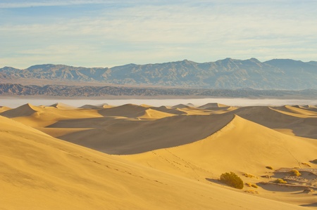 Deserts Sand dune with wind blowing sandの写真素材