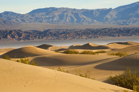 Deserts Sand dune with wind blowing sandの写真素材