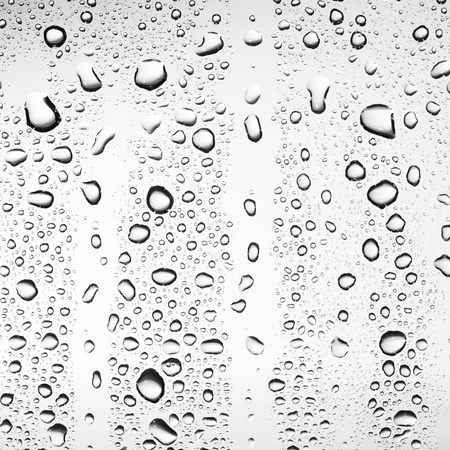 Water drop on whiteの写真素材
