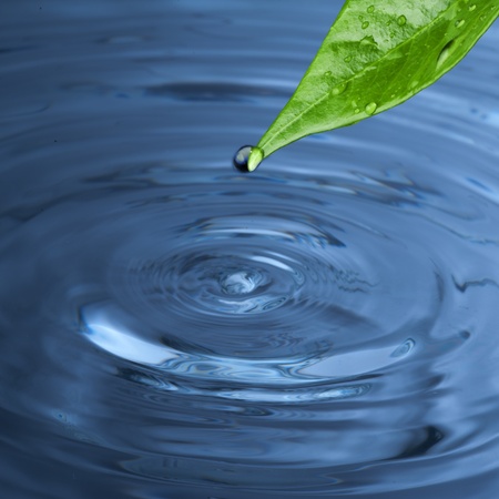 green leaf with water drop water on blue sunny backgroundの写真素材
