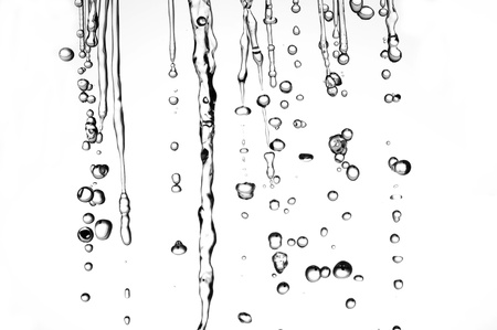 Water drops on white backgroundの写真素材