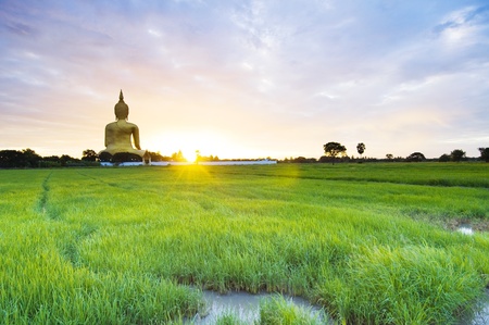 Buddha Statue in Thailand on rural landscape の写真素材