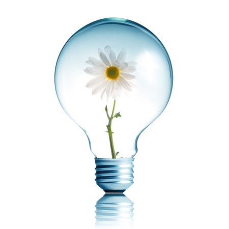 White flower growing inside the light bulbの写真素材