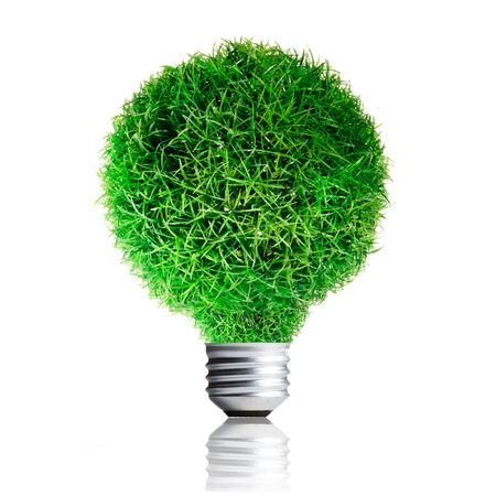 Green Grass growing on Light bulb  Concept for eco-friendlyの写真素材