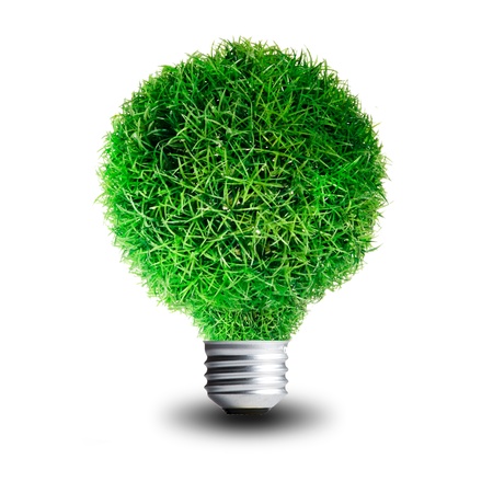 Green Grass growing on Light bulb  Concept for eco-friendlyの写真素材