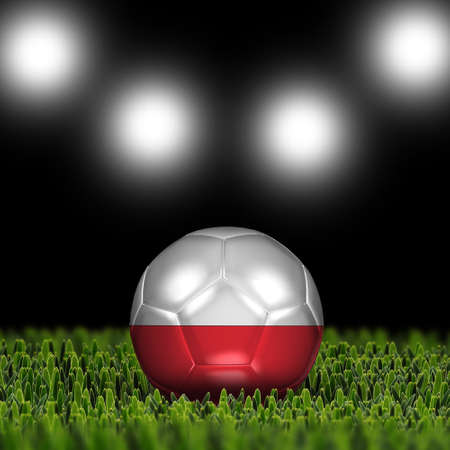 National Flag on the soccer ball on green grass with stadium lighting  Country Polandの写真素材