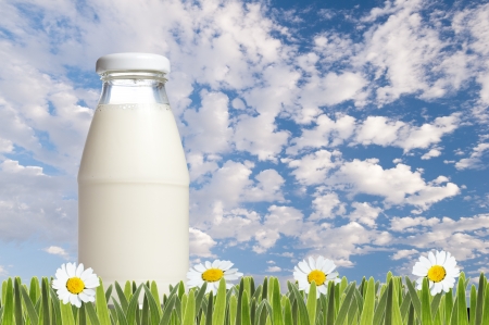 Milk with daisy field and cloudy backgroundの写真素材