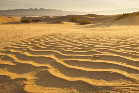Desert sand の写真素材