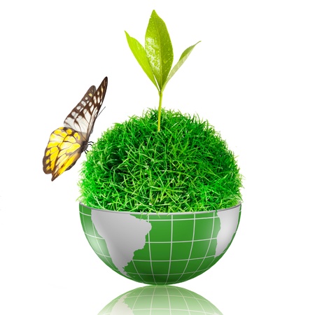 Butterfly flying to the ball of grass inside the globe with plant growingの写真素材