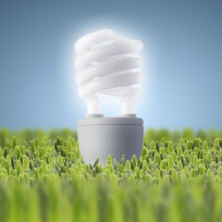Light bulb on green grass with blue background 