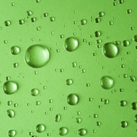 Water drop on greenの写真素材