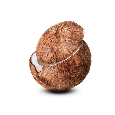 Coconutの写真素材