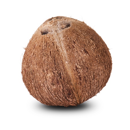 Coconut on whiteの写真素材