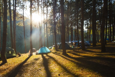 Camping tent with fog and trees at sunriseの写真素材