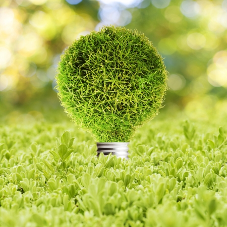 Grass Light bulb on green grass  Concept of Eco technologyの写真素材