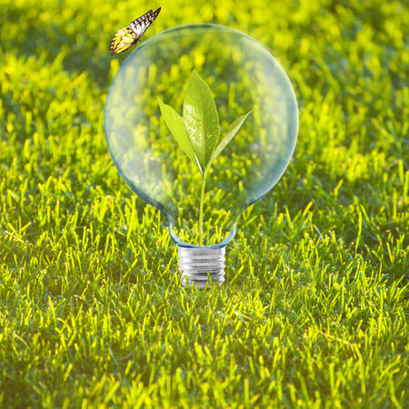 Light Bulb with Plant insideの写真素材