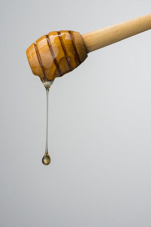 Honeyの写真素材