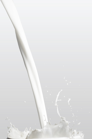 Milk Splashの写真素材