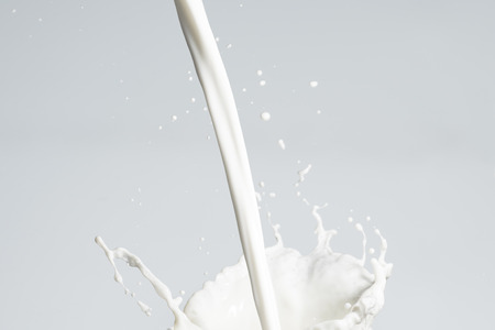 Milk Splashの写真素材
