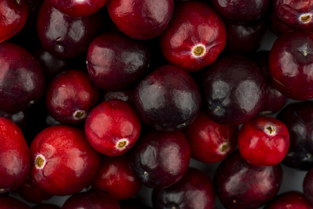 Fresh Cranberriesの写真素材
