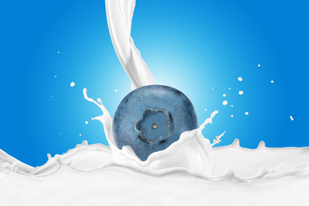 Blueberry With Milk Splashの写真素材