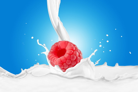 Raspberry With Milk Splashの写真素材