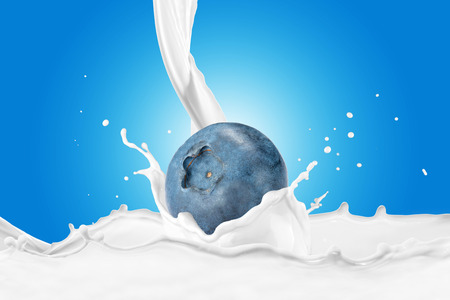 Blueberry With Milk Splashの写真素材