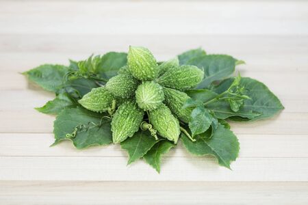 bitter guardの写真素材