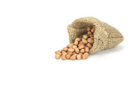 peanutの写真素材