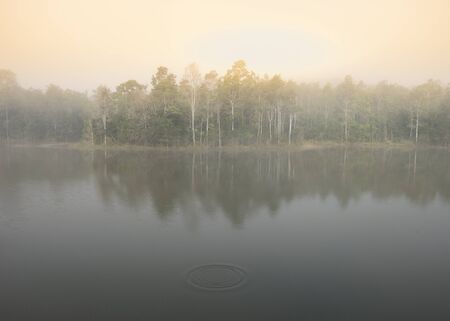 "Khaoyai National part" A thick early morning fog on this lake in Khaoyai Park, In Thailand.の写真素材