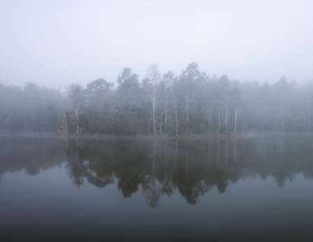 "Khaoyai National part" A thick early morning fog on this lake in Khaoyai Park, In Thailand.の写真素材