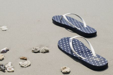 Sea shells and flip flops on sand. Summer beach background. Top viewの写真素材