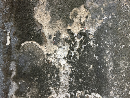 Wall grunge backgroundの写真素材