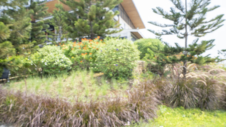 Blured photography of resort or trppical green garden in hotel.の写真素材