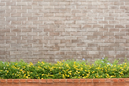 brick and flowerの写真素材